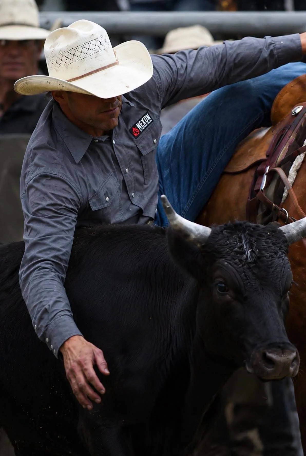 Rodeo cowboy in a white hat and gray NEXON pearl snap shirt leaning over a black bull beside a saddled horse.